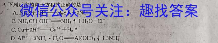 2023年广东省普通高中学业水平考试压轴卷(一)化学