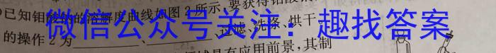 江西省2023年初中学业水平考试模拟试卷（二）化学