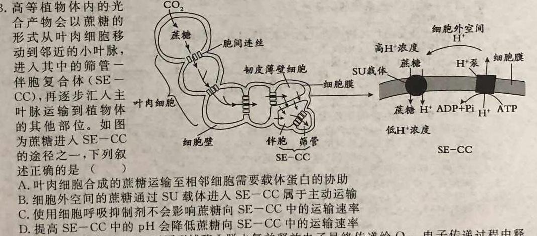 2023-2024衡水金卷先享题高三一轮复习单元检测卷/数学1集合与常用逻辑用语生物