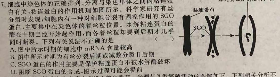甘肃省张掖市某重点校2022-2023学年高二下学期6月月考生物