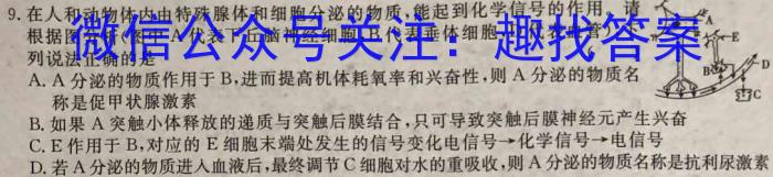 ［晋一原创模考］山西省2023年初中学业水平模拟试卷（四）生物试卷答案