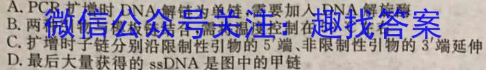 学海园大联考2023届高三冲刺卷（二）生物试卷答案
