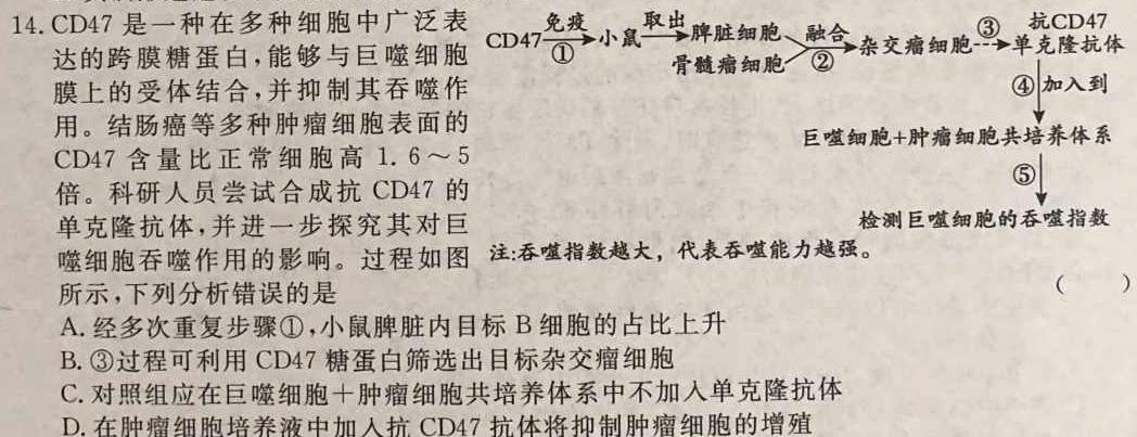 非凡吉创·2022-2023下学年高三年级TOP二十名校猜题大联考(二)生物