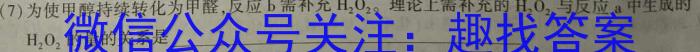 2023届陕西省九年级教学质量检测(正方形包黑色菱形)化学