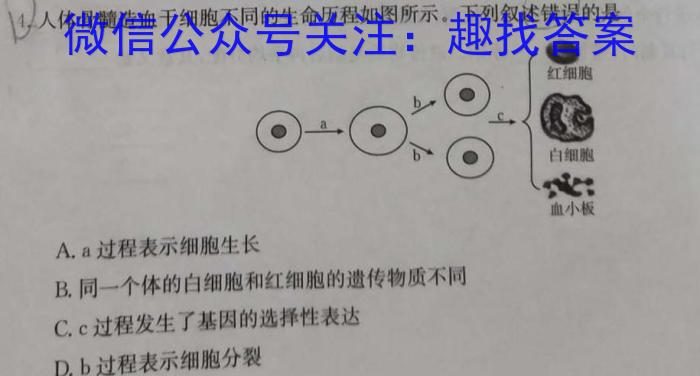 2023年陕西省初中学业水平考试模拟试卷(T4)生物试卷答案