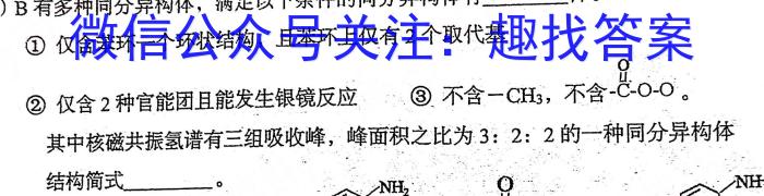 陕西师大附中2024-2023学年度初三年级第五次适应性训练化学