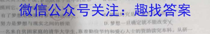 山西省2023届九年级山西中考模拟百校联考考试卷（四）地理.