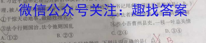 2023年山西省中考信息冲刺卷·压轴与预测（一）l地理