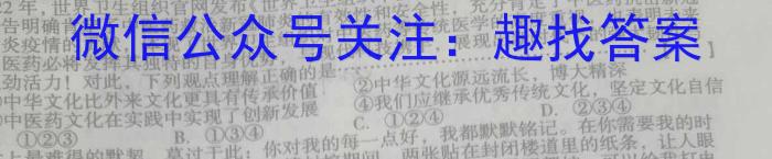 湖南省2023届高三一起考大联考(5月)s地理