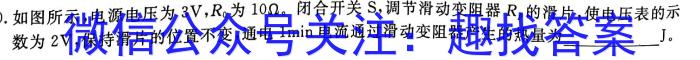 安徽省2025届七年级下学期教学评价三物理`