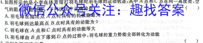 ［益卷］2023年陕西省初中学业水平考试冲刺卷（D版）f物理