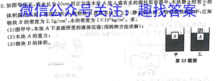 2023年普通高等学校招生全国统一考试·临门一卷(二)q物理