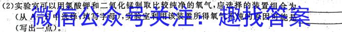 [南昌三模]2023届南昌市20230607项目第三次模拟测试卷化学