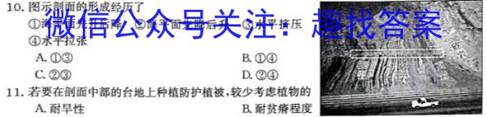 2023届重庆市南开中学校高三第九次质量检测（三诊）s地理