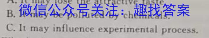 2023届陕西省九年级教学质量检测(正方形包黑色菱形)英语