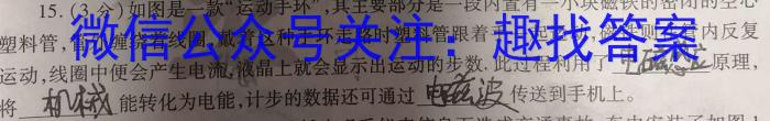 陕西省2023年考前适应性评估(二) 7L物理`