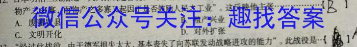 湖南省2023届高三一起考大联考(5月)历史