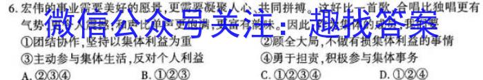 安徽省毫州市蒙城县2022-2023学年度九年级第二学期第三次模考地理.