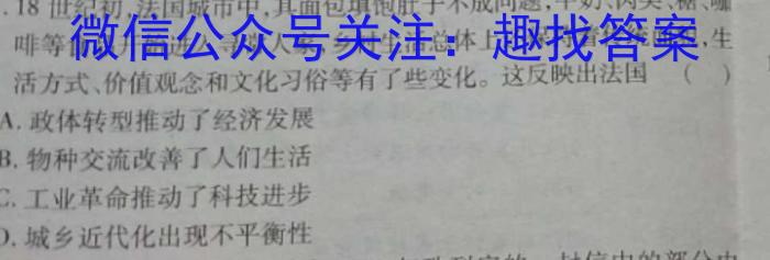 安徽省颍上县2023届九年级教学质量检测（5月）历史