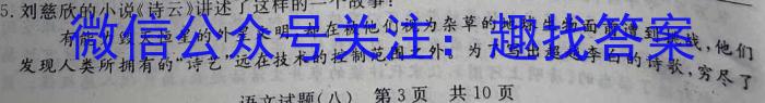 天一大联考2022-2023学年高二年级阶段性测试（四）政治1