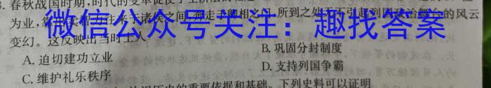 安徽省2023届九年级考前适应性评估（三）（8LR）历史试卷
