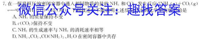 2023年陕西省初中学业水平考试·模拟联考卷A化学