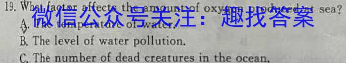 安徽省2023年九年级阶段调研（5月）英语