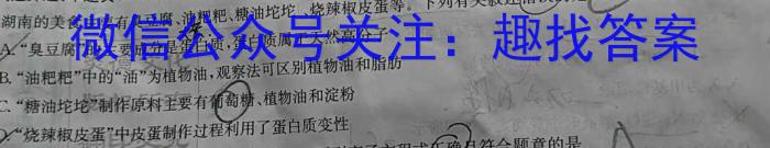 [怀化三模]怀化市2023届高三适应性模拟考试化学