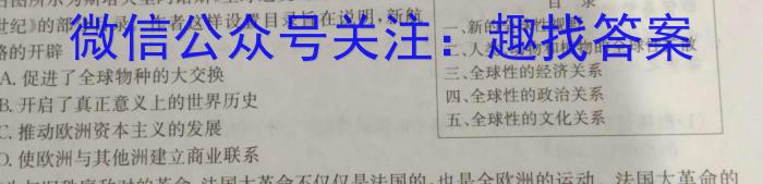 2023年安徽省中考冲刺卷（二）历史