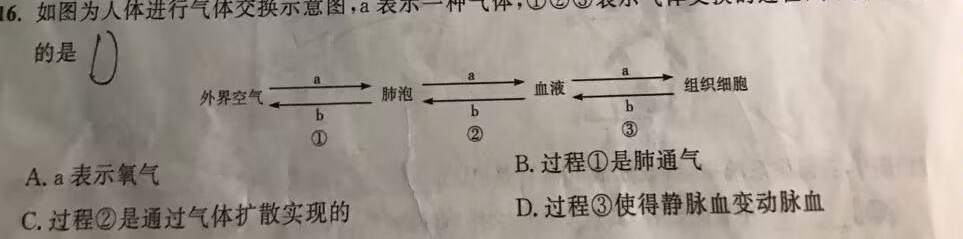 2023年合肥六中高三最后一卷生物