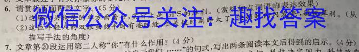 2023年陕西省初中学业水平考试模拟试卷T2政治1