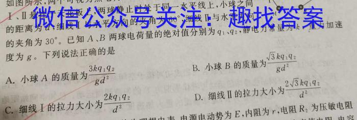 强基路985天机密卷 2023年普通高等学校统一招生模拟考试(新高考全国Ⅰ卷)q物理