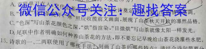 山西省2023年中考总复习押题信息卷SX(二)2语文