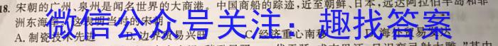 山西省2022~2023学年度八年级阶段评估（G）【R-RGZX E SHX（七）】历史