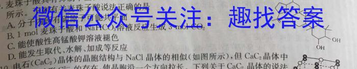 2023年吉林大联考高二年级5月联考化学