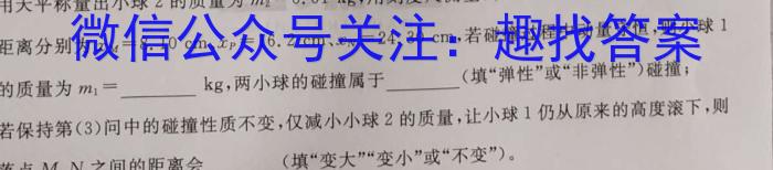 陕西师大附中2022-2023学年度初三年级第五次适应性训练.物理