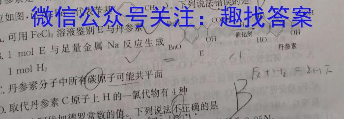 2023年陕西省初中学业水平考试B版T版化学