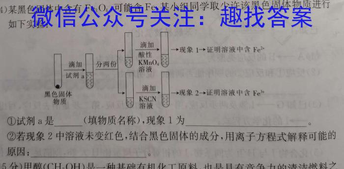 2023年河北省初中毕业生升学文化课考试(省级)大联考化学