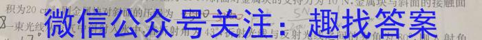 2023年高考冲刺模拟试卷(七)物理`