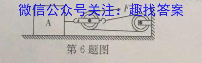 T2·2023年陕西省初中学业水平考试模拟试卷.物理