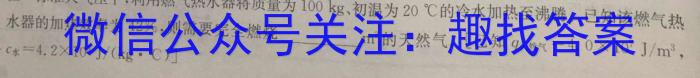 2023年普通高校招生考试冲刺压轴卷X(七)物理`