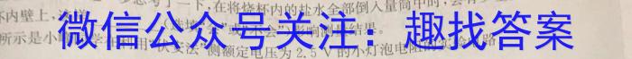 文博志鸿 2023年河北省初中毕业生升学文化课模拟考试(密卷一).物理