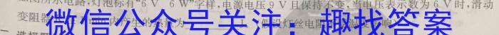 2023年陕西省初中学业水平考试全真预测试卷(C) A版l物理