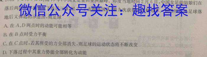 安徽第一卷·2022-2023学年安徽省七年级下学期阶段性质量监测(七)物理`