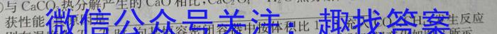 九师联盟 2022-2023学年高三5月高考仿真模拟(X/L)化学