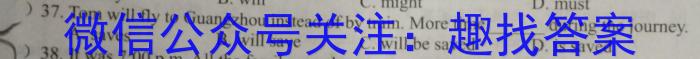 T2·2023年陕西省初中学业水平考试模拟试卷英语