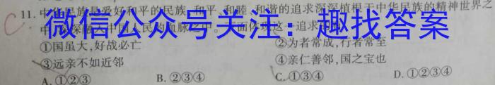 新疆2023年高考素养调研第三次模拟考试(问卷)地理.