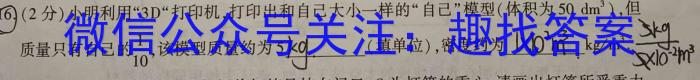 文博志鸿 2023年河北省初中毕业生升学文化课模拟考试(状元卷一)z物理