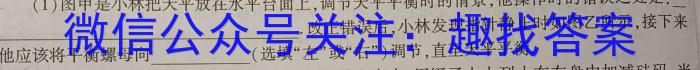 [聊城三模]山东省2023年聊城市高考模拟试题(三)q物理