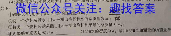 学科网2023年高三5月大联考(新教材)f物理